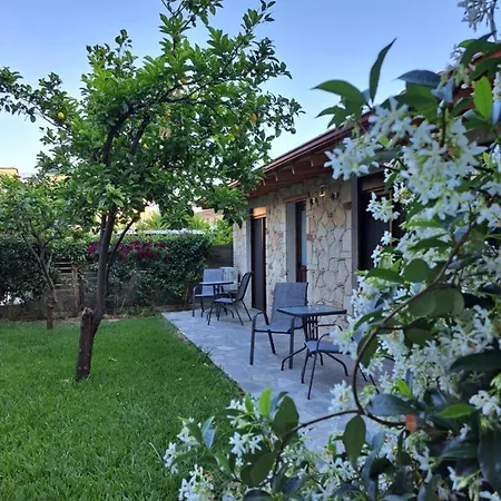 Citrus Garden Apartment Nea Skioni Exterior photo