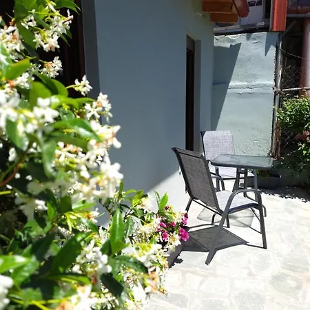 Citrus Garden Apartment Nea Skioni Exterior photo